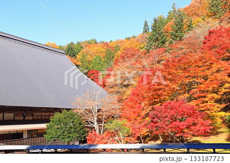 信濃大町の古刹　霊松寺の秋 133187723