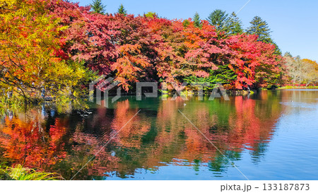 雲場池（秋） 133187873