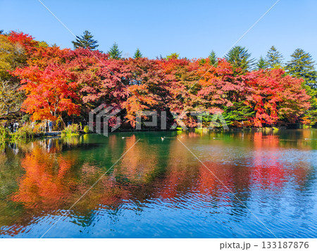 雲場池（秋） 133187876