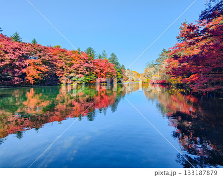 雲場池（秋） 133187879