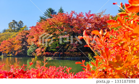 雲場池（秋） 133187898