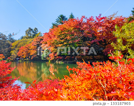 雲場池(秋) 雲場池(秋) 133187903