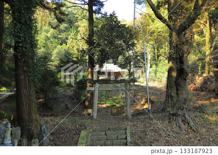 石岡市佐志野神社 石岡市佐志野神社 133187923