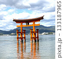 厳島神社鳥居 133187965