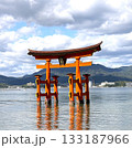 厳島神社鳥居 133187966