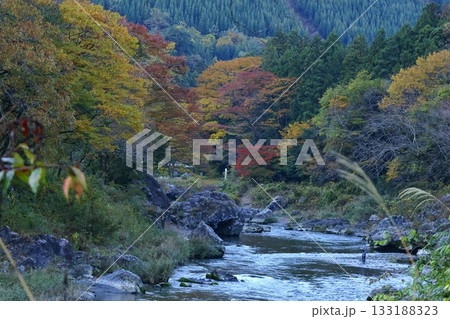 燃える秋 133188323