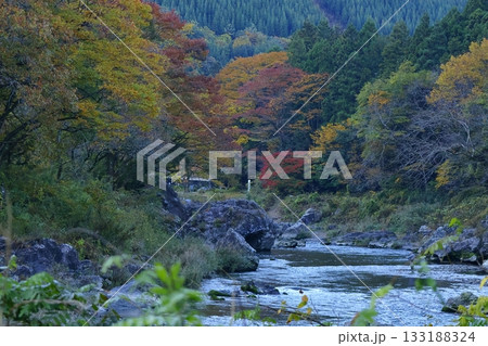 燃える秋 133188324