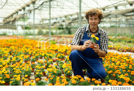 Man garden store worker holding marigolds 133188650
