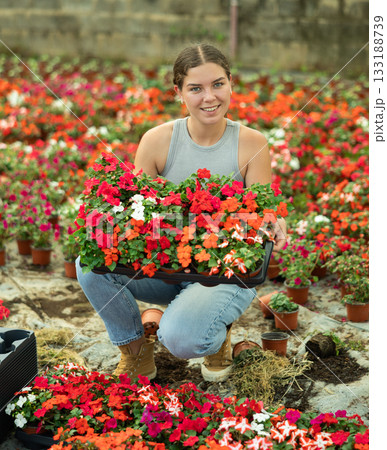 Woman holding a tray with different flowers in her hands 133188739