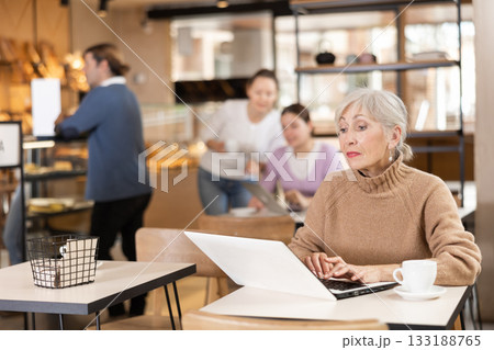 Interested elderly female tutor working on laptop in cafe Interested elderly female tutor working on laptop in cafe 133188765