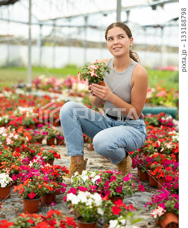 Young woman choosing flowers in greenhouse Young woman choosing flowers in greenhouse 133188798