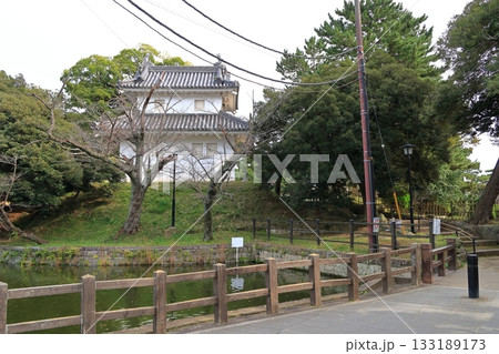 亀城公園の景観 亀城公園の景観 133189173