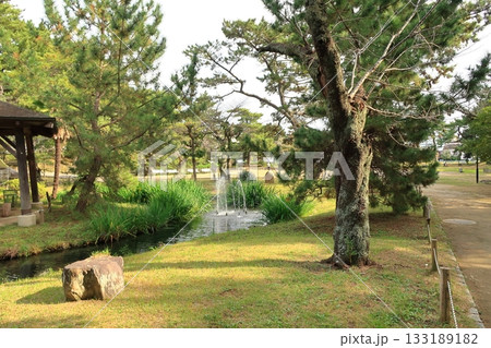 亀城公園の景観 133189182