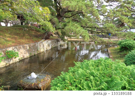 亀城公園の景観 133189188