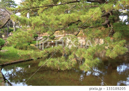 亀城公園の景観 133189205
