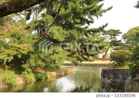 亀城公園の景観 133189206