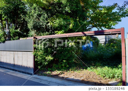 空き家の繁茂した庭木 133189246