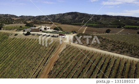 Aerial view of winery building in a vast vineyard landscape 133189317