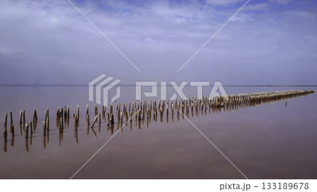 Wooden posts reflecting in pink salt lake. Media Wooden posts reflecting in pink salt lake. Media 133189678