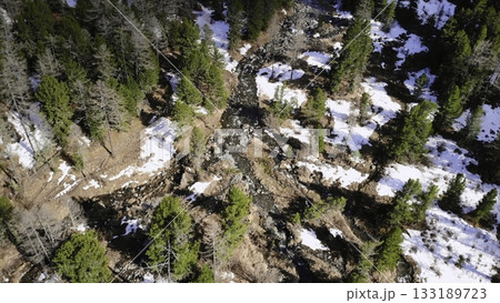 Mountain stream flows through snowy evergreen forest. Media 133189723
