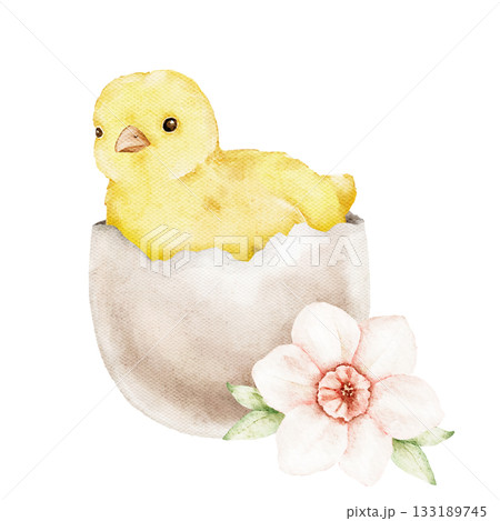 Watercolor illustration of a small yellow chick is hatched sitting inside an eggshell with a soft flower accent. Ideal for Easter cards, packaging, children projects, posters, and seasonal design Watercolor illustration of a small yellow chick is hatched sitting inside an eggshell with a soft flower accent. Ideal for Easter cards, packaging, children projects, posters, and seasonal design 133189745