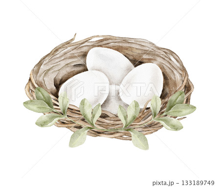 Watercolor illustration of a woven nest holding white eggs with surrounding green leaves. Ideal for Easter cards, packaging, labels, posters, spring decor, and natural themed creative projects. 133189749