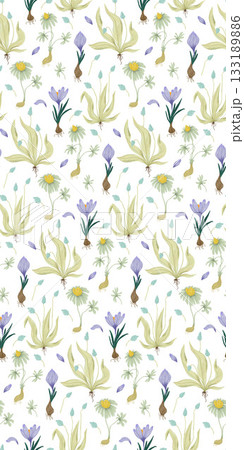 Delicate chalk pattern with spring garden primroses on a white background chamomile, crocus, muscari Delicate chalk pattern with spring garden primroses on a white background chamomile, crocus, muscari 133189886
