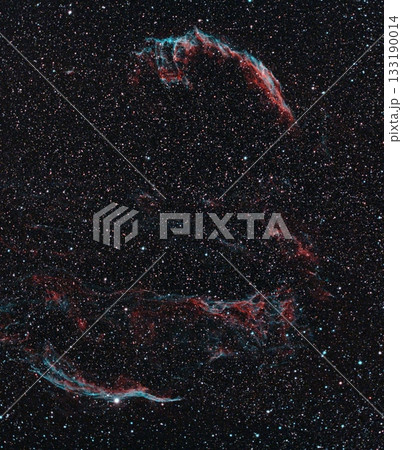 はくちょう座の網状星雲 133190014