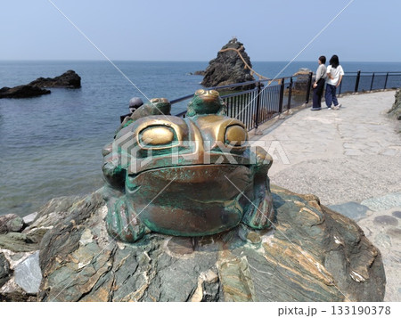 二見ヶ浦のカエルその2 二見ヶ浦のカエルその2 133190378