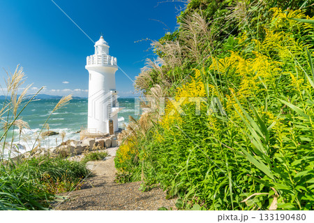 《愛知県》伊良湖岬灯台・渥美半島の先端 133190480