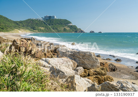 《愛知県》恋路ヶ浜のビーチ・渥美半島の先端 133190937