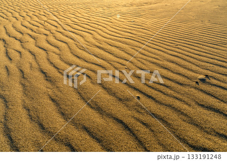 《静岡県》中田島砂丘・夕暮れの風景 《静岡県》中田島砂丘・夕暮れの風景 133191248
