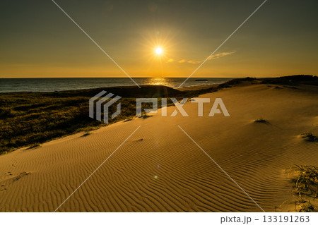 《静岡県》中田島砂丘・夕暮れの風景 《静岡県》中田島砂丘・夕暮れの風景 133191263