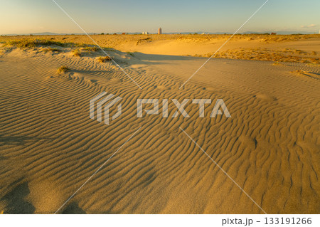 《静岡県》中田島砂丘・夕暮れの風景 《静岡県》中田島砂丘・夕暮れの風景 133191266