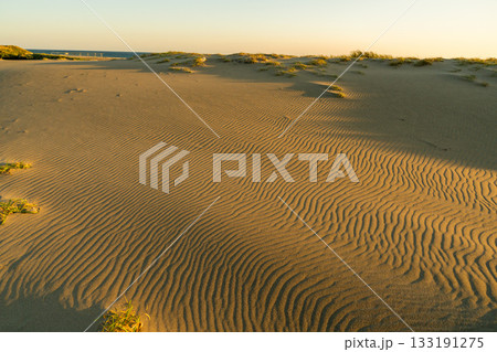 《静岡県》中田島砂丘・夕暮れの風景 133191275
