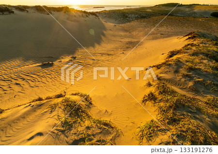 《静岡県》中田島砂丘・夕暮れの風景 133191276