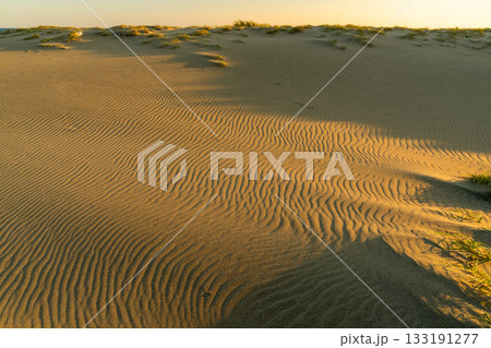 《静岡県》中田島砂丘・夕暮れの風景 133191277