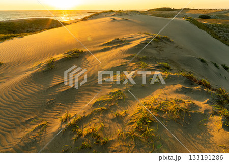 《静岡県》中田島砂丘・夕暮れの風景 133191286