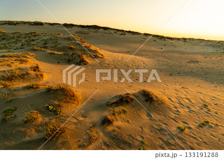 《静岡県》中田島砂丘・夕暮れの風景 133191288