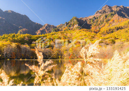 《長野県》鏡池・紅葉最盛期の戸隠 《長野県》鏡池・紅葉最盛期の戸隠 133191425