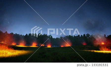 wildfire on the night forest grass field 3d rendering 133191531