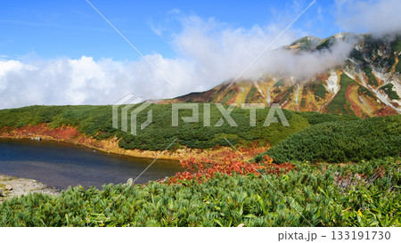 室堂平の秋　這松の緑が美しいみどりが池と立山連峰の絶景　立山黒部アルペンルート富山県 133191730