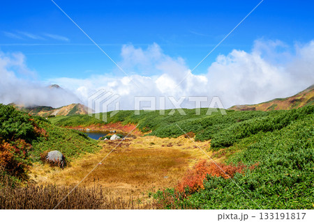 室堂平の秋　這松の緑が美しいみどりが池と雲に隠れる奥大日岳　立山黒部アルペンルート富山県 133191817