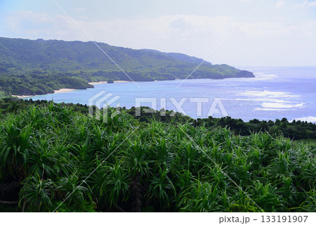 石垣島・御神崎 133191907
