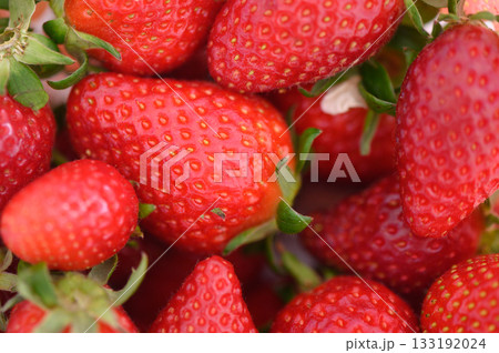 Vibrant red strawberries fresh from the garden adorn a rustic wooden table in the warm afternoon sunlight, inviting tasting and sharing 133192024