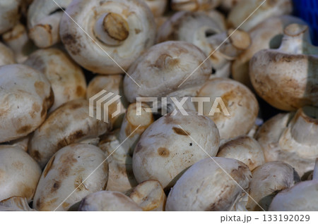 Freshly harvested mushrooms at the bustling local market in autumn, showcasing nature's bounty amidst vibrant market activity Freshly harvested mushrooms at the bustling local market in autumn, showcasing nature's bounty amidst vibrant market activity 133192029