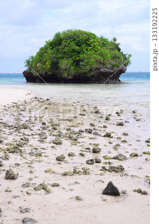 石垣島・川平湾 133192225