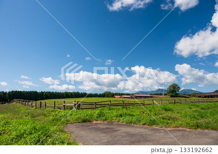 雫石の田舎風景 広大な農場 雫石の田舎風景 広大な農場 133192662