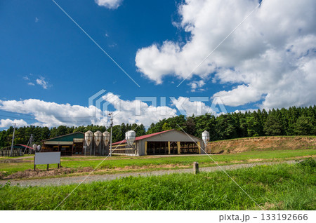 雫石の田舎風景 広大な農場 雫石の田舎風景 広大な農場 133192666