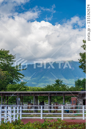 小岩井農場の馬コーナー 133192674